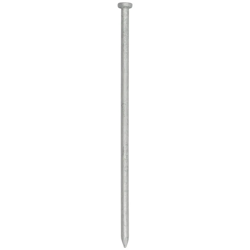 12" GALVANIZED SPIKE