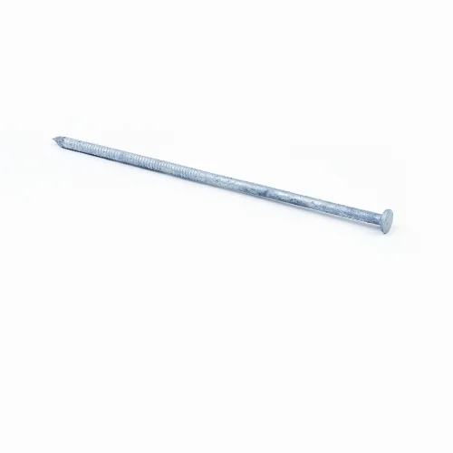 12" HOT DIPPED GALVANIZED SPIKES (12") 50 LB