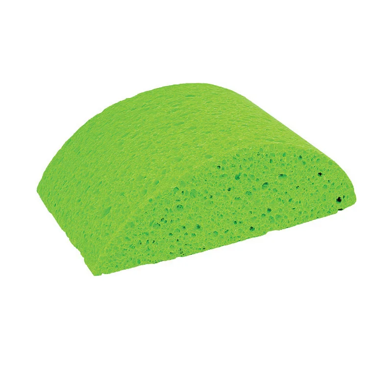 TURTLE BACK SPONGE