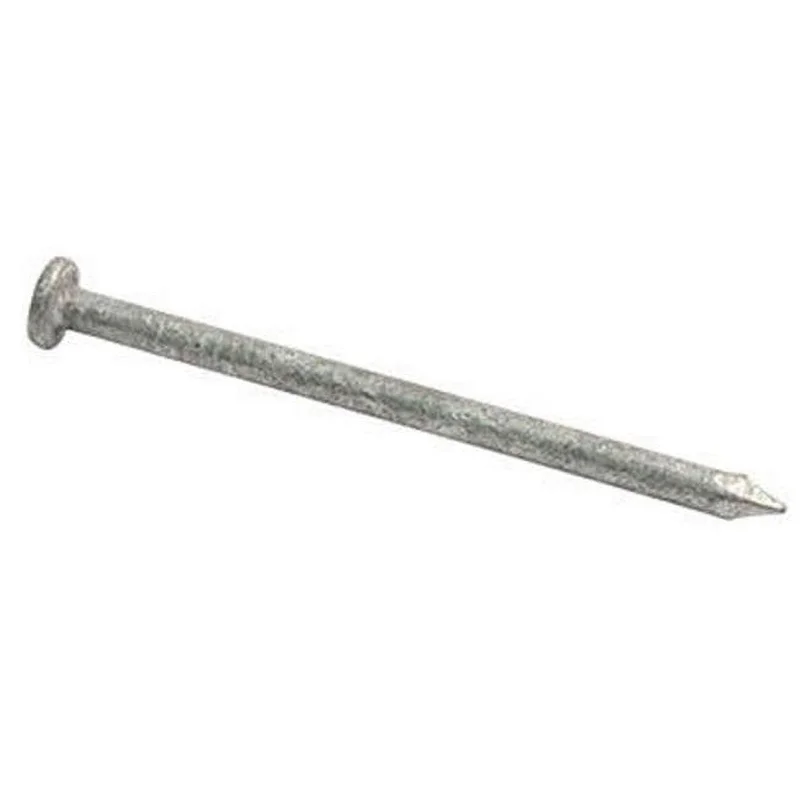 8D HOT DIPPED GALVANIZED COMMON BULK 50 LBS
