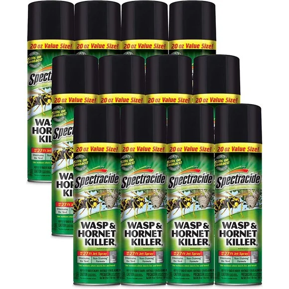 SPRAY WASP/HORNET 20OZ