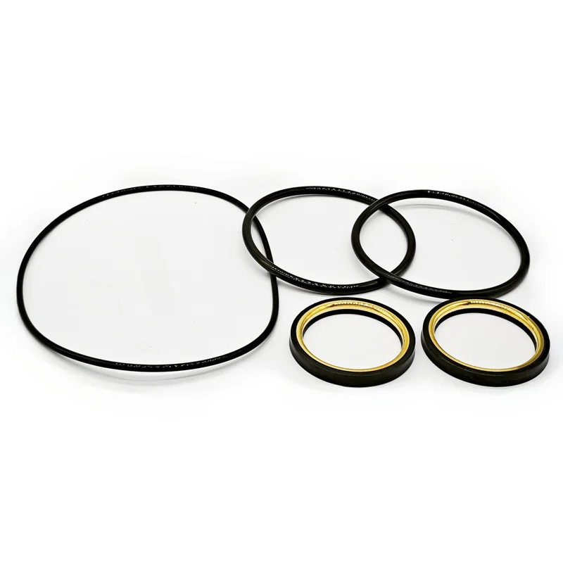 WATERPROOF SEAL KIT RS795-12